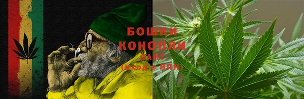 сатива Саяногорск