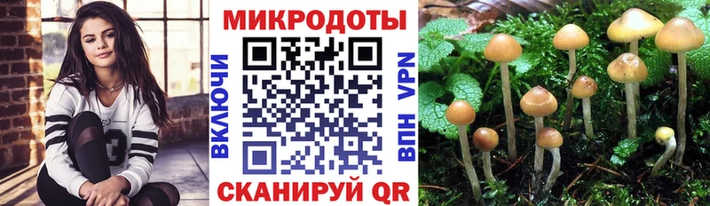 Псилоцибиновые грибы мухоморы  Купить закладки  Ядрин 